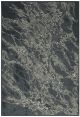 Vloerkleed Brinker Carpets Onyx dessin 884